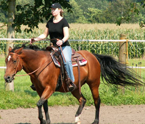 reiten1